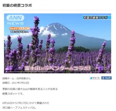 みんながカメラマン　ラベンダーと富士山