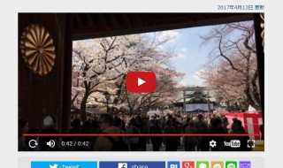 FNNビデオpost 靖国神社の桜