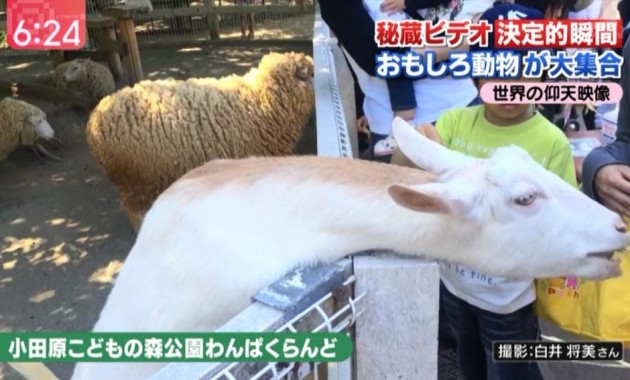 スーパーJチャンネル