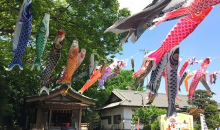 白旗神社の鯉のぼり