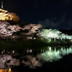 iPhoneで三渓園の夜桜撮影