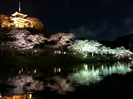 iPhoneで夜桜撮影