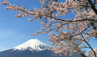 新倉山浅間公園から富士山と桜