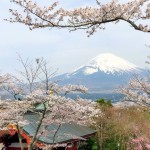 仏舎利塔平和公園の富士山と桜