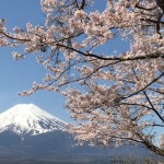 新倉山浅間公園で富士山と桜