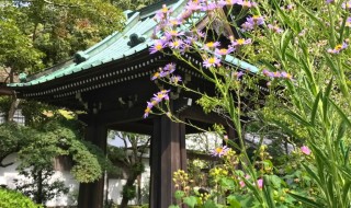 鎌倉の海蔵寺