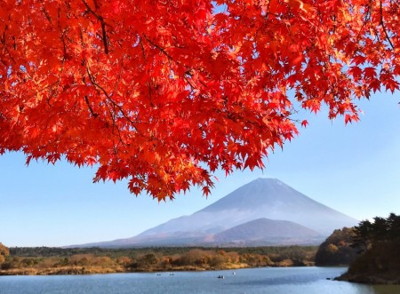 精進湖の紅葉と富士山