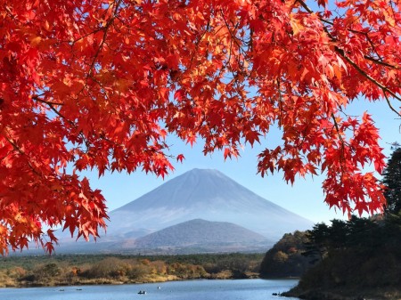精進湖の紅葉と富士山