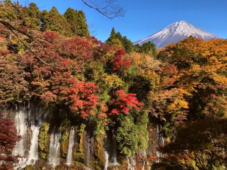 白糸の滝の紅葉と富士山