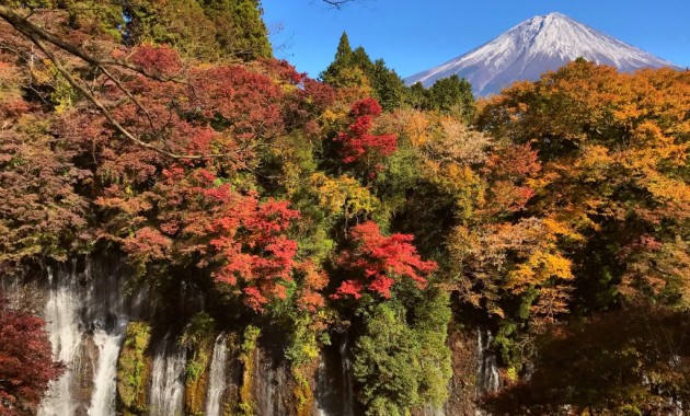 白糸の滝の紅葉と富士山