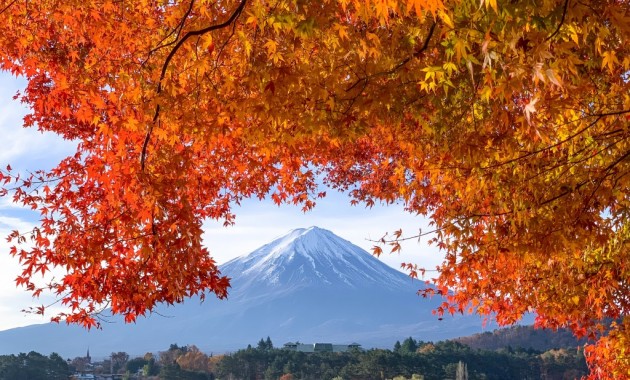 河口湖もみじトンネルの紅葉