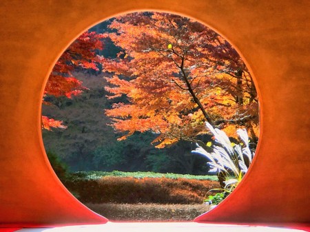 鎌倉　明月院の丸窓　紅葉