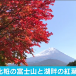 AbemaNews 精進湖の紅葉と富士山