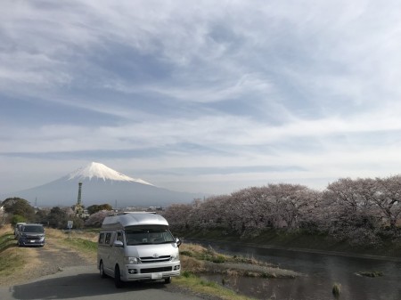 龍巌淵の富士山と桜
