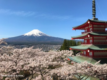 新倉山浅間公園の桜と富士山と忠霊塔