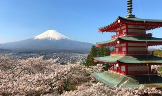 新倉山浅間公園の桜と富士山と忠霊塔