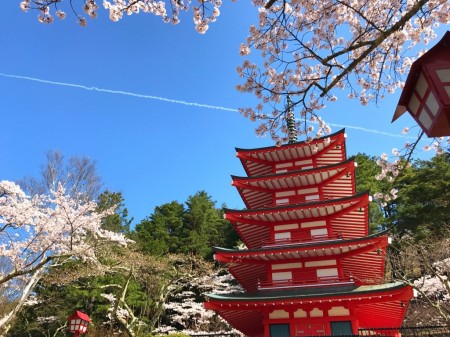 新倉山浅間公園の桜と忠霊塔