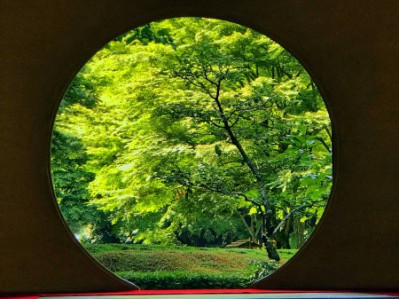 鎌倉　明月院の丸窓