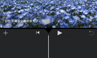 iMovie for iOSで字幕を設定3