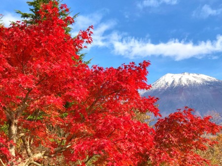西臼塚の富士山と紅葉