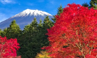 西臼塚の富士山と紅葉